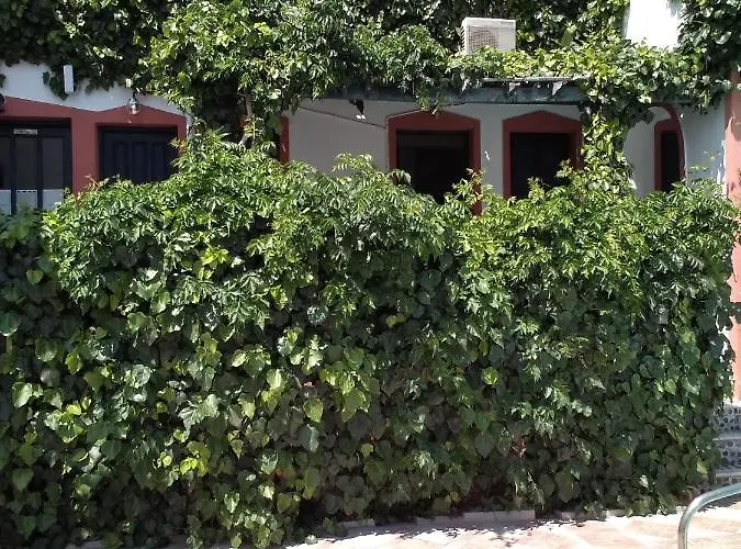 Irineos Lägenhet Perissa (Santorini)